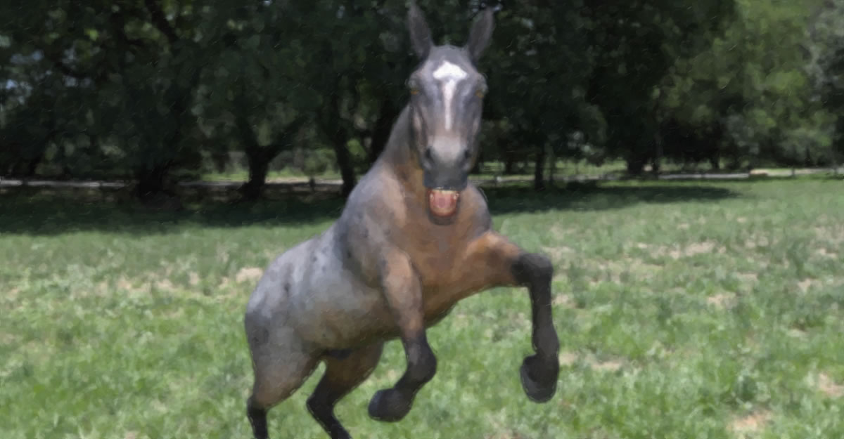 horse painting 10